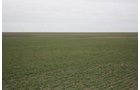 Property photo 52 - Kansas Land Auction - 960 Acres - 7 Farms in 3 Counties
